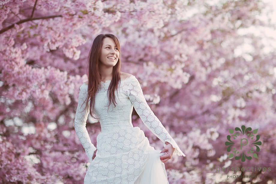 Sarnia Park Cherry Blossom photos If you want to get your wedding photos 