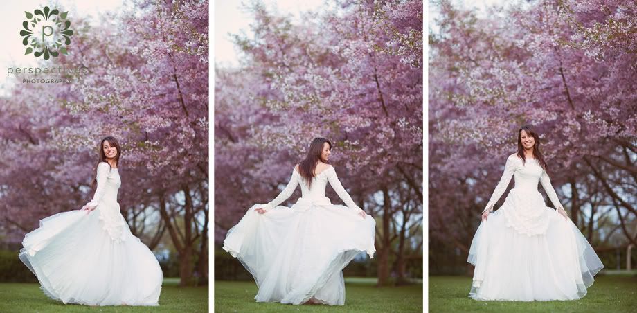 Sarnia Park Cherry Blossom photos If you want to get your wedding photos