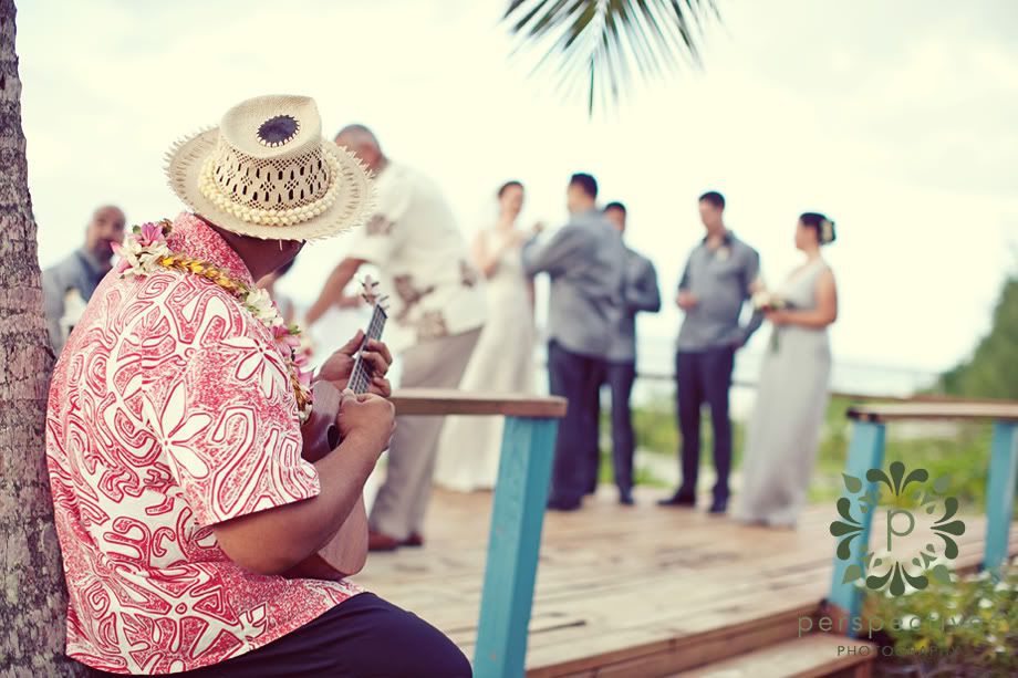 Tamarind House Rarotonga Wedding Photos Tamarind House Rarotonga Wedding Photos