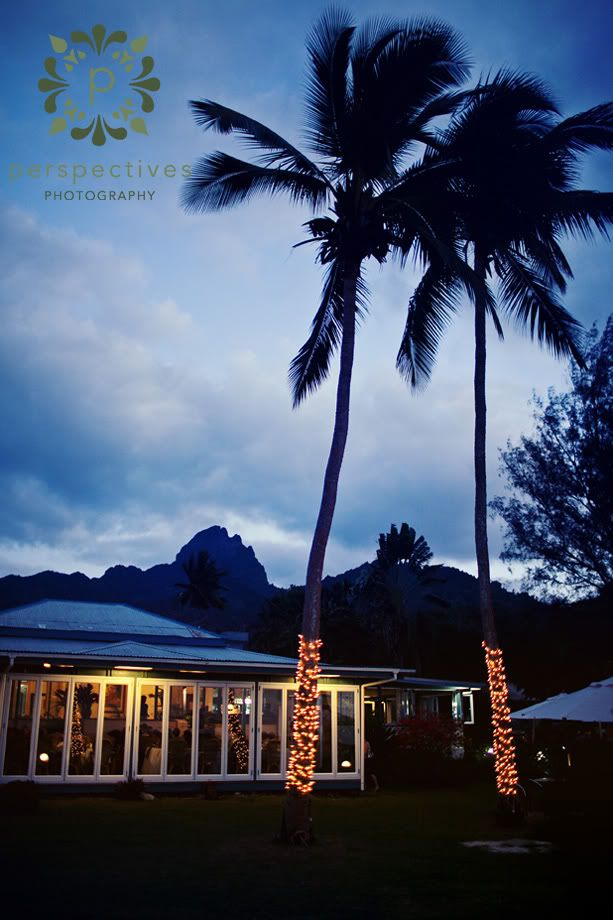 Tamarind House Rarotonga Wedding Photos Tamarind House Rarotonga Wedding Photos
