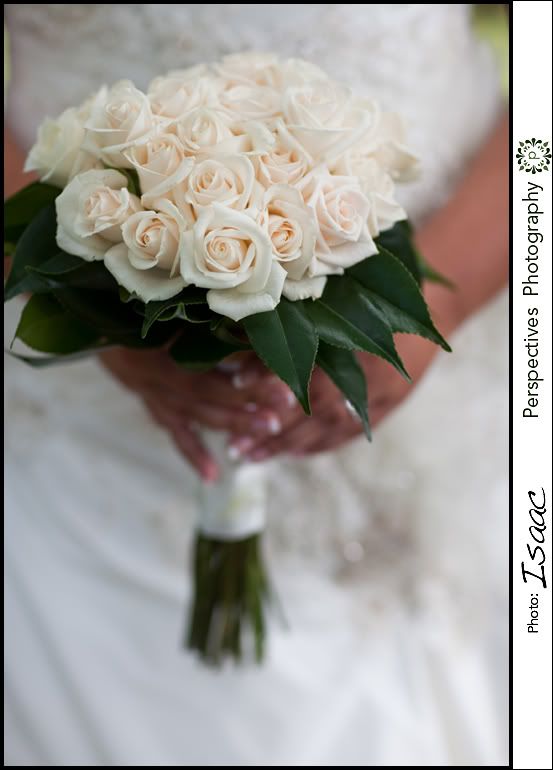 Auckland wedding photos