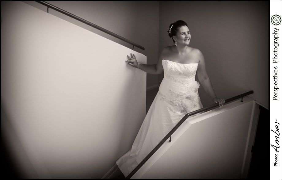 Auckland wedding photos