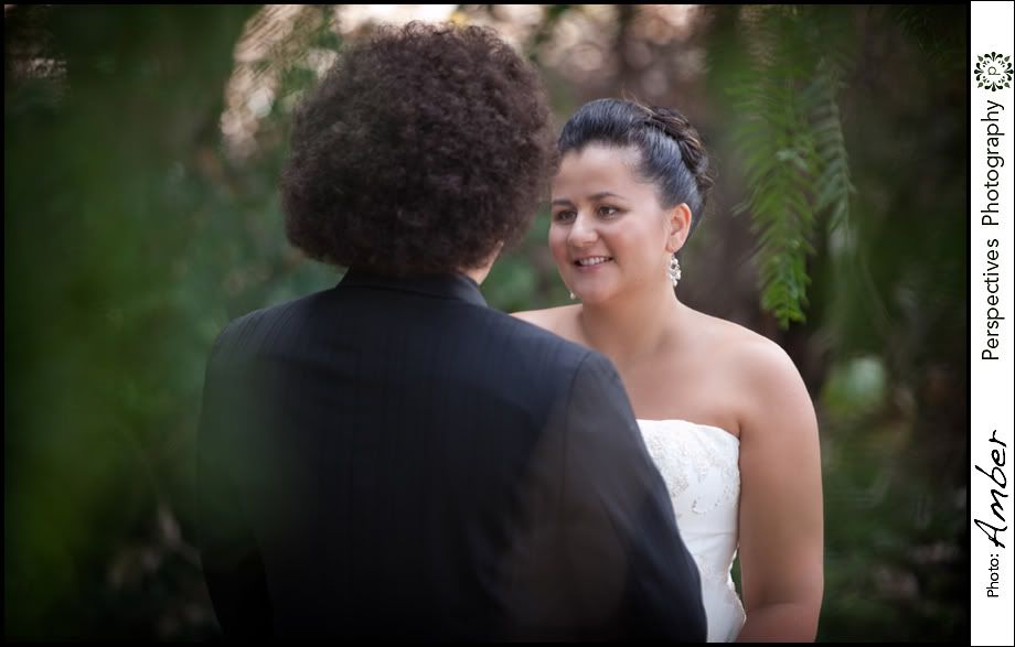 Auckland wedding photos