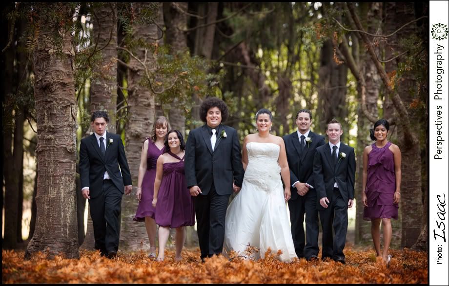 Auckland wedding photos