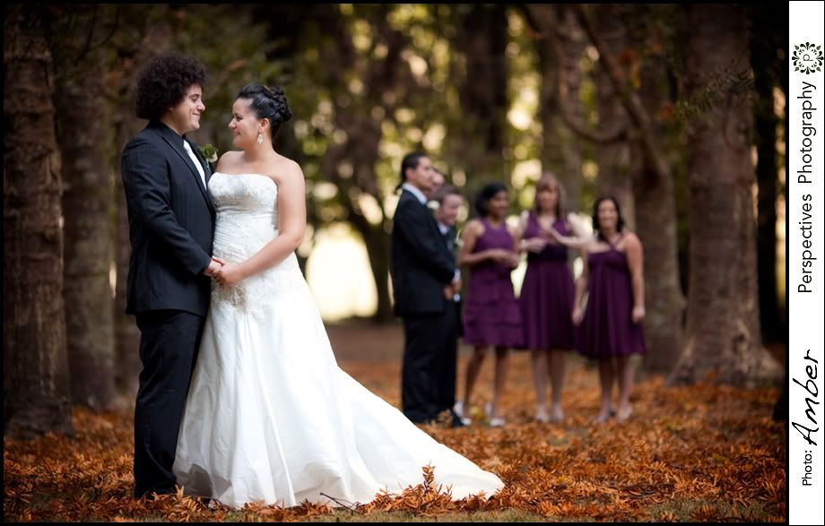 Auckland wedding photos
