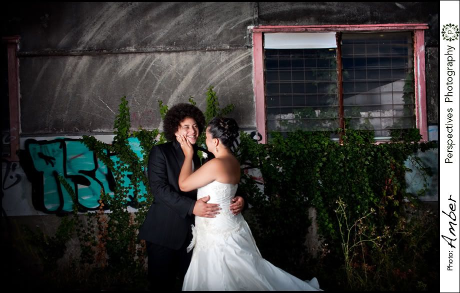 Auckland wedding photos