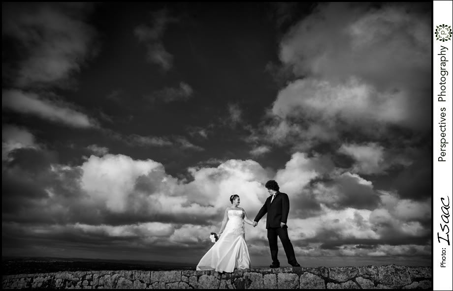 Auckland wedding photos