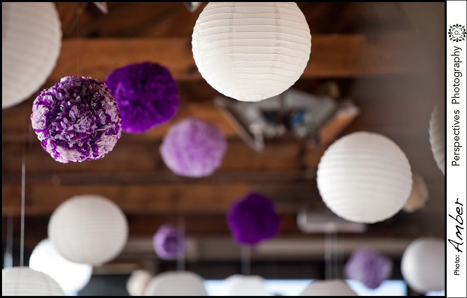 Auckland wedding photos