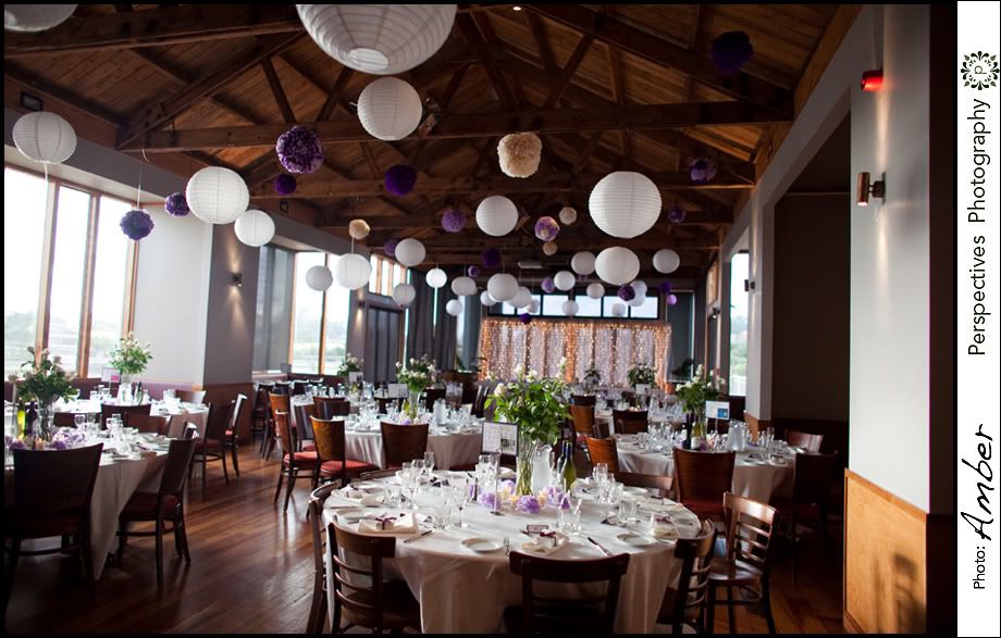 Auckland wedding photos