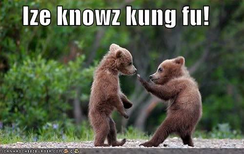 kung fu funny photo: Kung Fu untitled.jpg