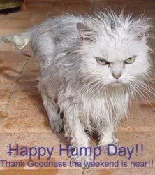 HAPPY HUMP DAYS Pictures, Images and Photos