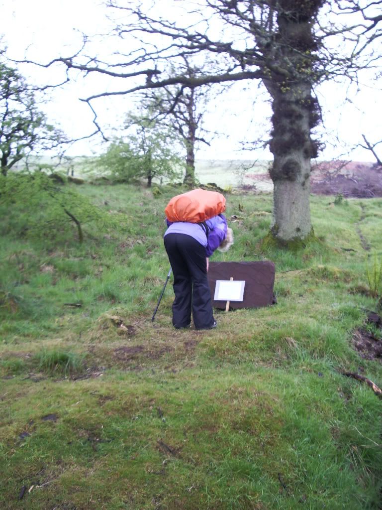 Bren found something to read