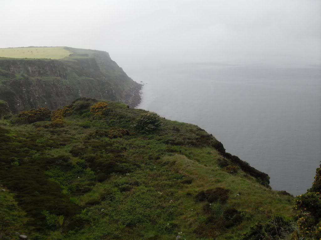 Looking back along Bee's Head