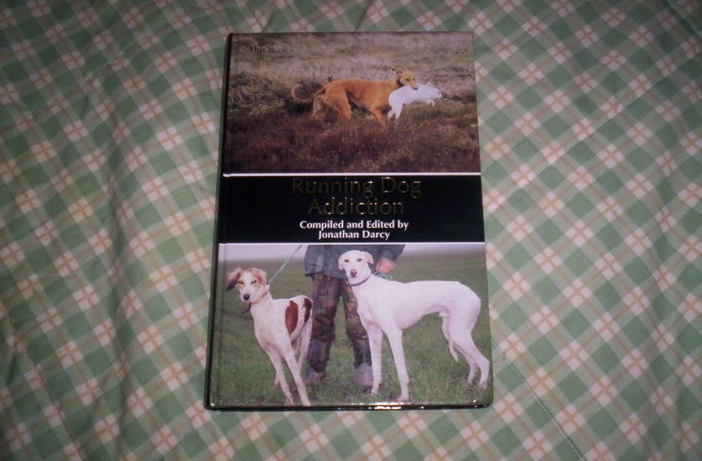 darcybooksndsnow022.jpg