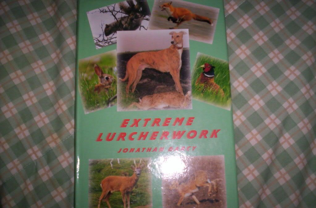 darcybooksndsnow023.jpg