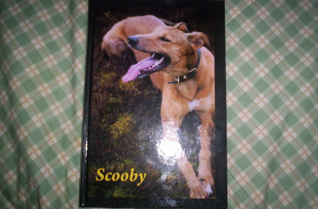 darcybooksndsnow024.jpg