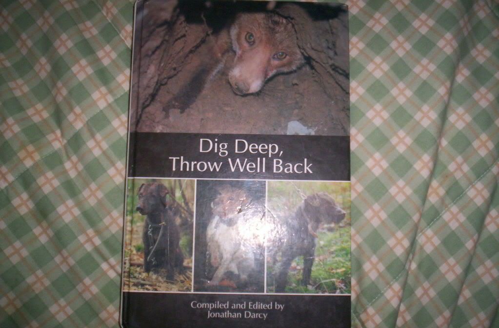 darcybooksndsnow025.jpg