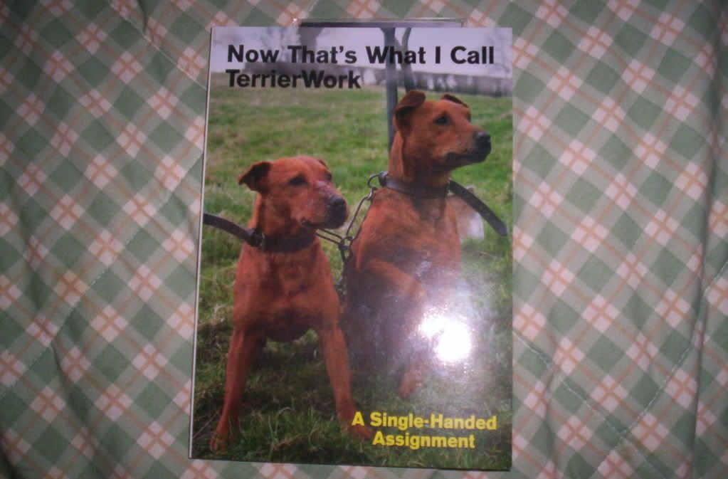 darcybooksndsnow026.jpg