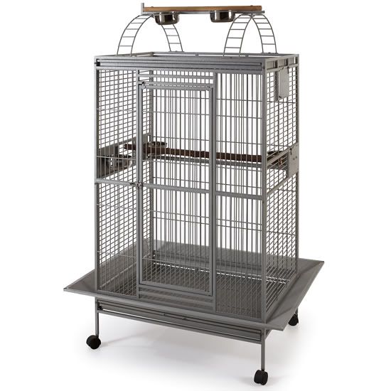 Eclectus cage setups, let’s see yours! Avian Avenue Parrot Forum