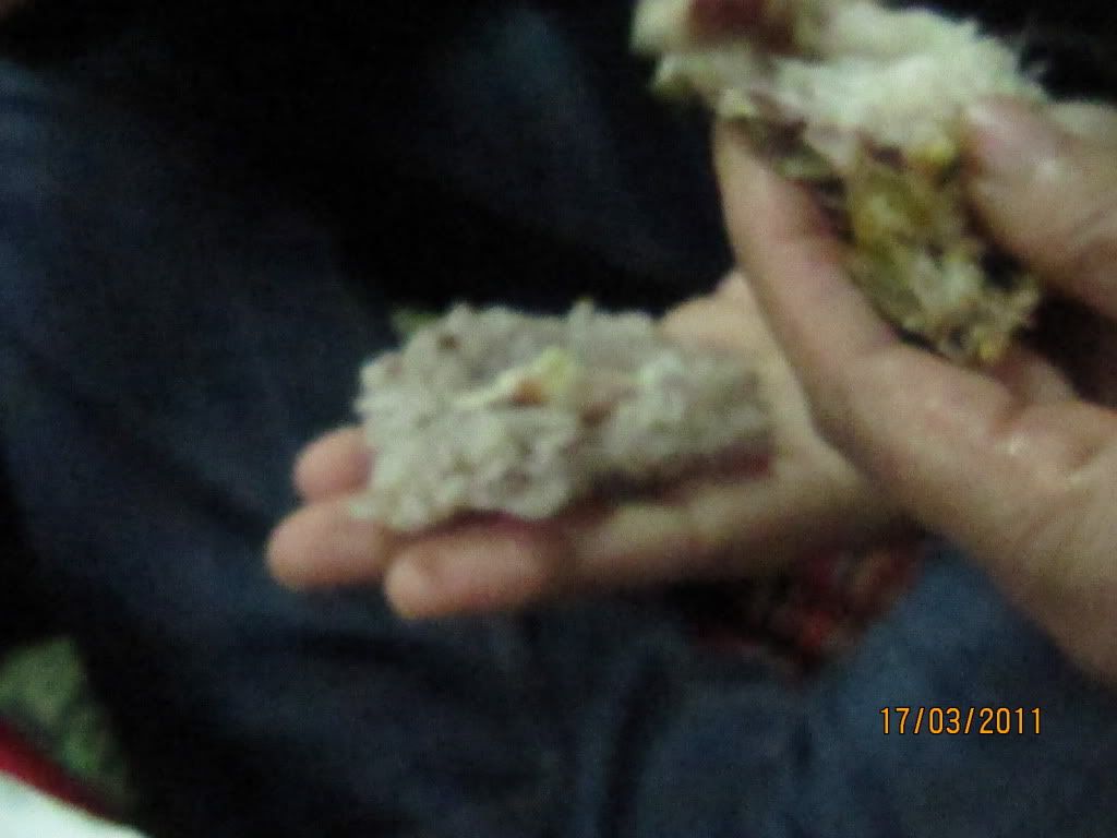 Nơi Triễn Lãm Các Món Ăn Của Người Việt :)) - 2