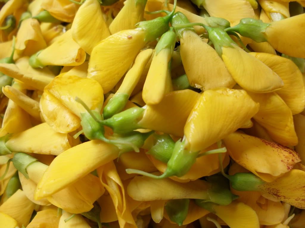 Daily diary for everyone - 1