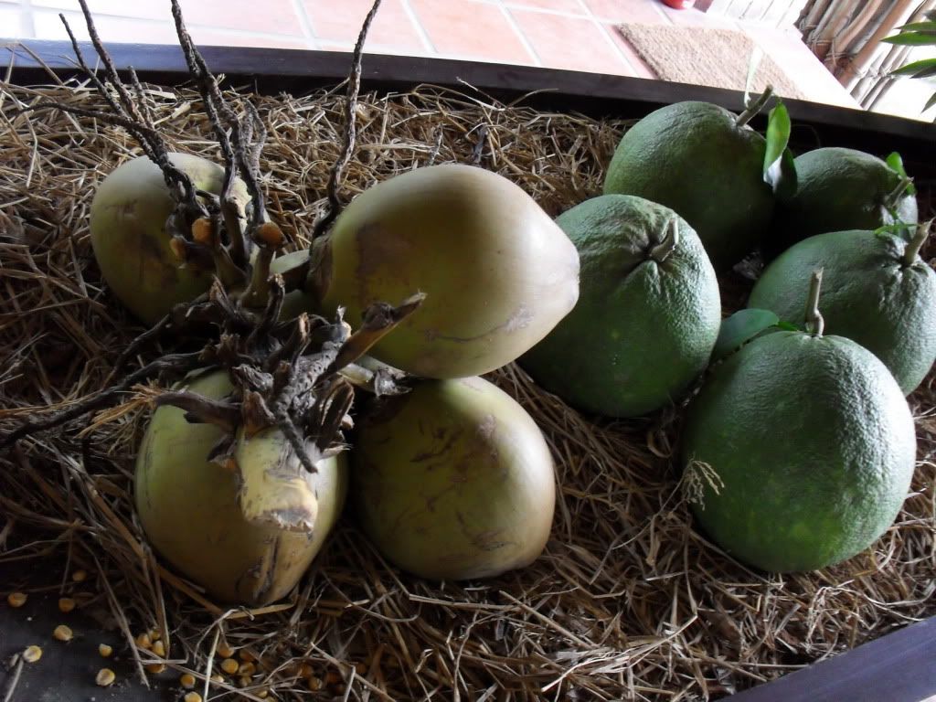 Daily diary for everyone - 1