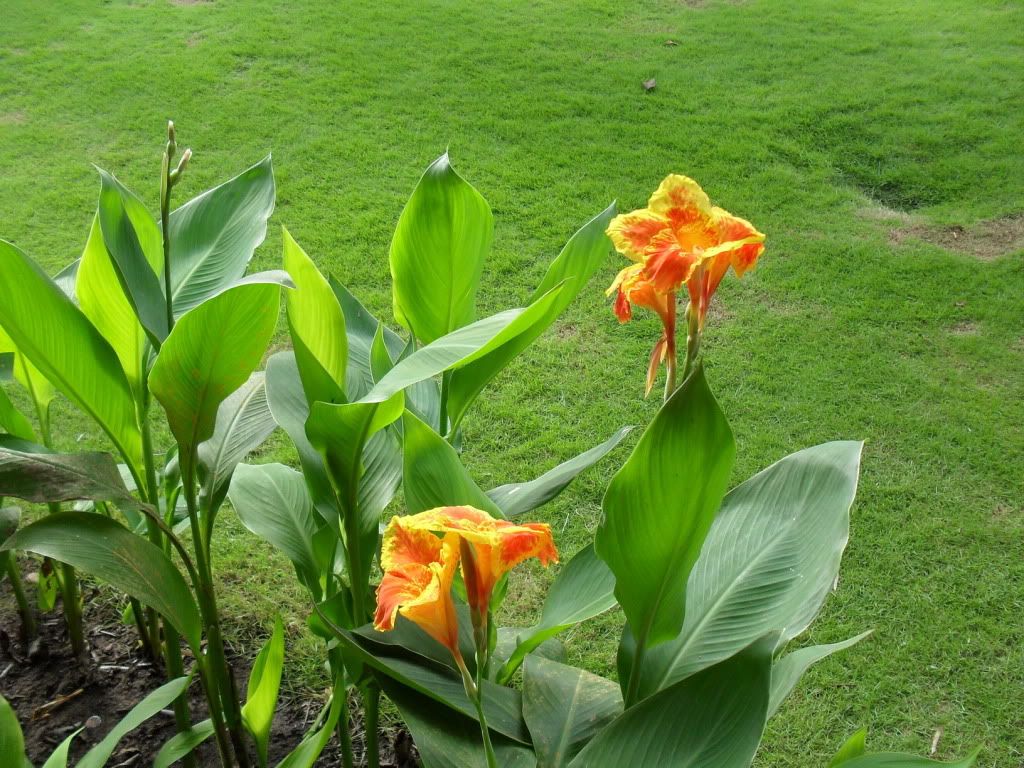 Daily diary for everyone