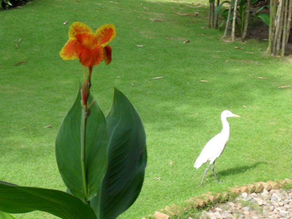 Daily diary for everyone