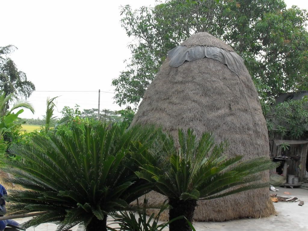 Daily diary for everyone - 1