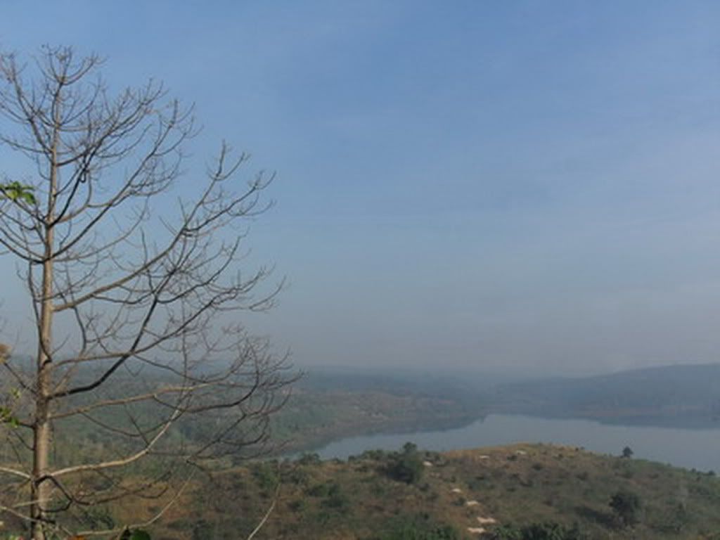 Daily diary for everyone