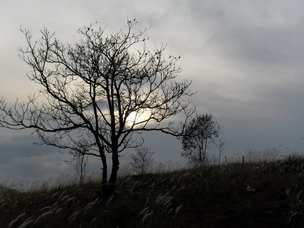 Daily diary for everyone