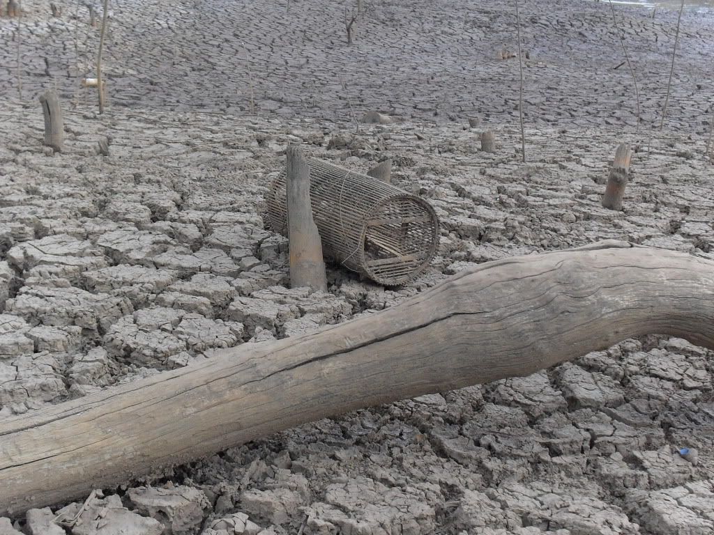 Daily diary for everyone