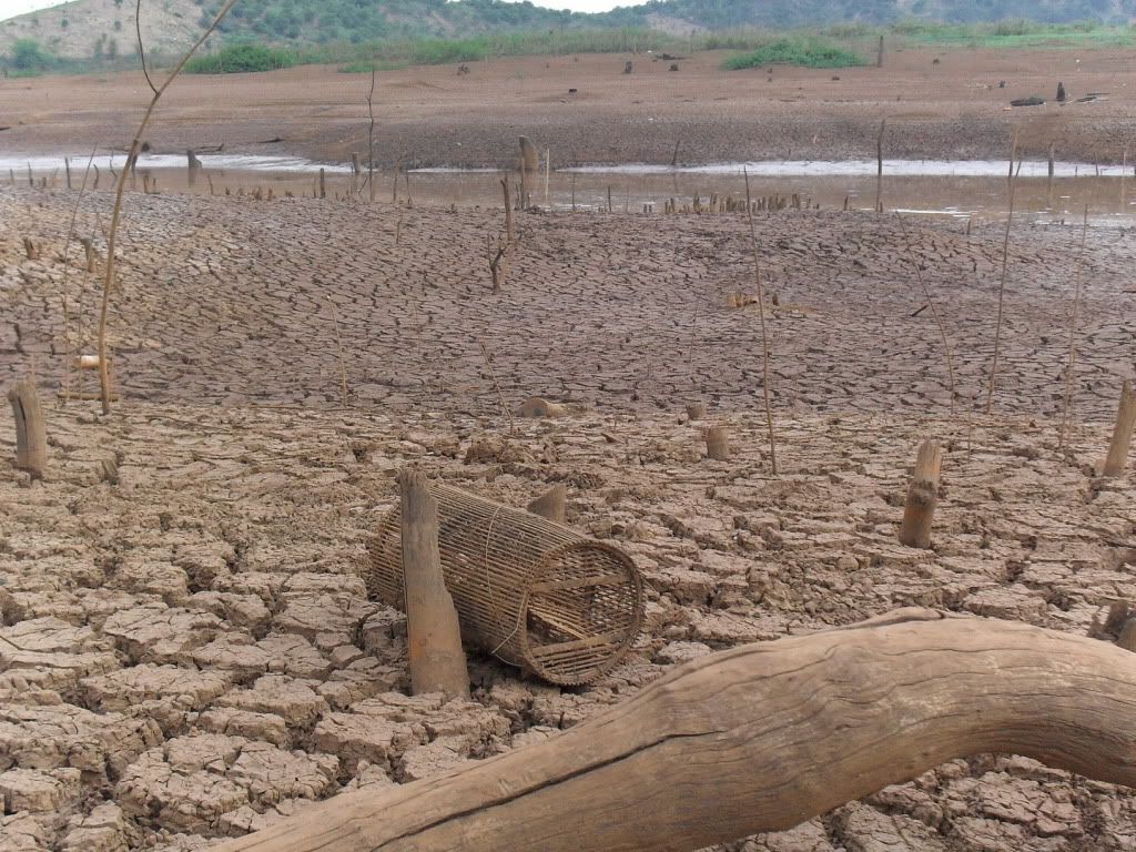 Daily diary for everyone - 1