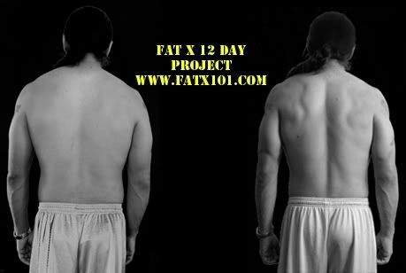 Fat Loss,Fat X,Fat burning