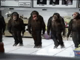 dancing monkeys photo: monkeys monkeydance.gif