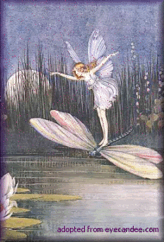 Dragonfly Fairy