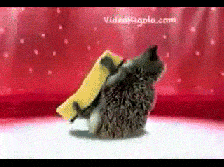 eponge.gif hedge1 image by ExplodingTarako