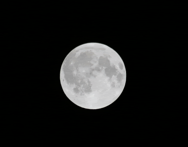 full moon Pictures, Images and Photos