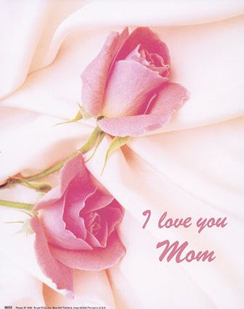 love you mommy. i love you mommy. I LOVE YOU!