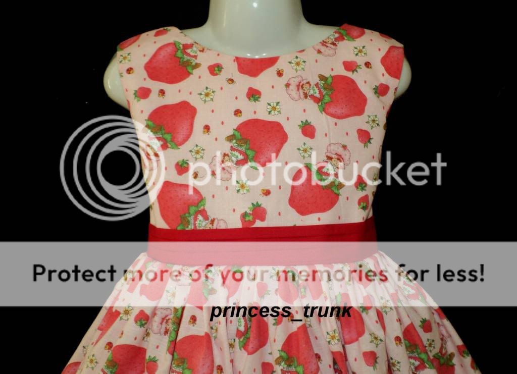 princess_trunk Strawberry Shortcake on Pink Dress Cust  