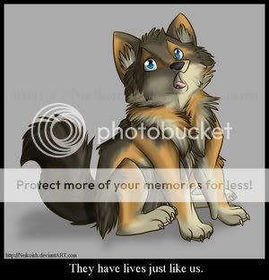 Save_The_Wolves_by_Neikoish.jpg