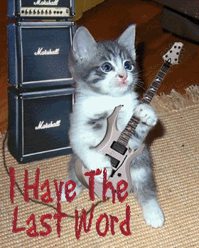 catplayingguitar.gif picture by valkricry