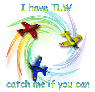 tlw5Fplanes.gif picture by valkricry
