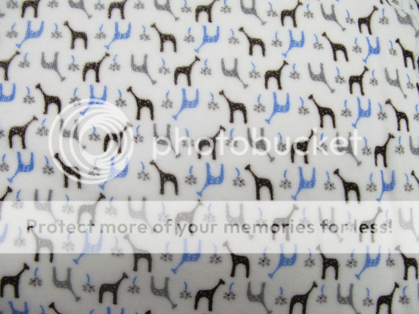 5.1yd x 60" Blue Giraffe - Cotton VELOUR fabric