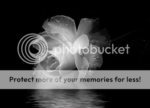 black and white Pictures, Images and Photos