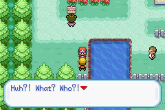 [PokeCommunity.com] Pokemon: (Happiness)
