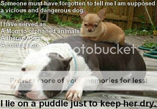 photo 1FA2EC77-21DD-4E59-92A7-36A094156B85.jpg