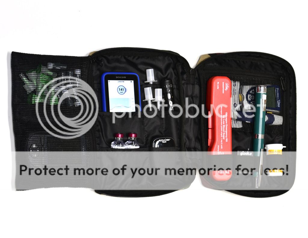 INSULIN BAG/CASE, DIABETIC CASE, DIABETES BAG, DIABETIC ...