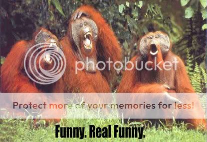 Laughing Apes Photo by ashleylalus | Photobucket