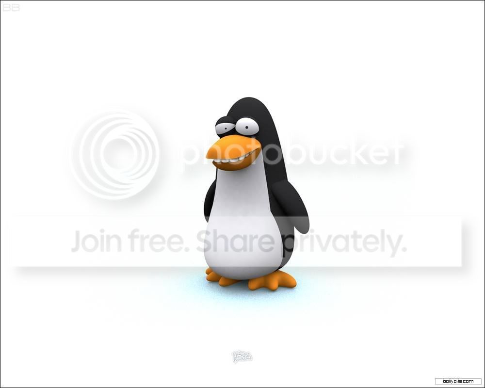 8786.jpg